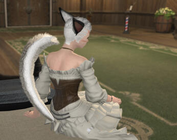 Vanilla Tail 3, Ears Highlight